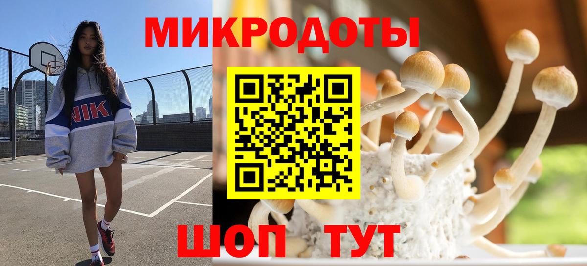 Псилоцибиновые грибы мицелий  Псилоцибиновые грибы прущие грибы  Бугуруслан  Вход с VPN 